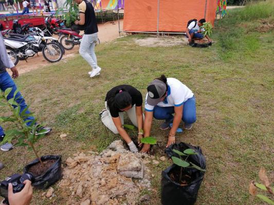 Campana de arborizacion